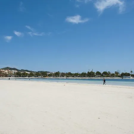 Llepol Port de Alcudia (Mallorca)